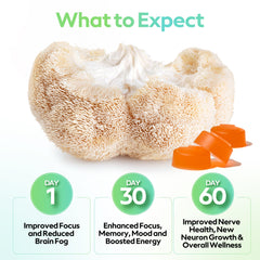 Troop Lion's Mane Gummies close-up showcasing peach mango flavor and texture.
