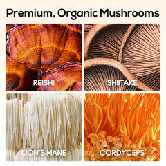 TrueMushroom ingredients label features organic mushroom extracts and clean formula.