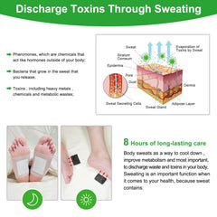 Tudiqe foot pads worn on feet during sleep for a refreshing feel.