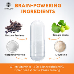 Close-up of TWINLEAF Dopamine capsules for convenient daily use.