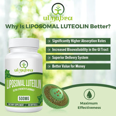 Closeup of Ulmubra Liposomal Luteolin softgels highlighting easy-to-swallow capsules