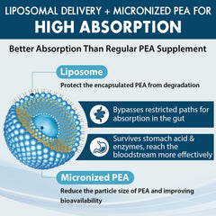 Ulmubra Luteolin 100mg bottle signals complementary flavonoid support for activity.