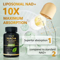 Nicotinamide riboside and resveratrol capsule shows antioxidant and NAD+ boosting potential.