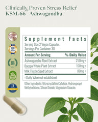 Upbe Ashwagandha bottle label closeup emphasizing Bacopa and Milk Thistle ingredient blend