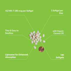 UpNourish softgel close-up showing pea-sized capsule ideal for daily use.