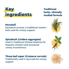 Herbal blend components of Uqora In Control shown for bladder support.