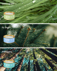 Veda Tinda Scent Fir Tree candle evokes crisp forest vibes for holidays.