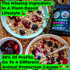 Vegan Brain Food bottle label highlights key amino acids and 40 servings.
