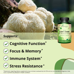 Label close-up showing USDA Organic certification and clean formula