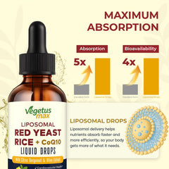 VEGETUSMAX bergamot olive extracts visuals highlight plant-based antioxidant blend.