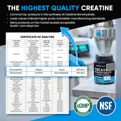 Venture Pal creatine monohydrate gluten-free label emphasizing clean ingredients