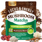 Venture Pal Mushroom Matcha Powder tin shown for steady focus.