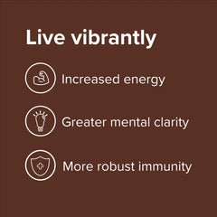 Vibrant Health Green Vibrance shake-glass reveals a creamy chocolate coconut finish.