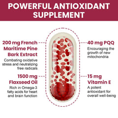 Vigorizar Pycnogenol label shows 95% proanthocyanidins for antioxidant support.
