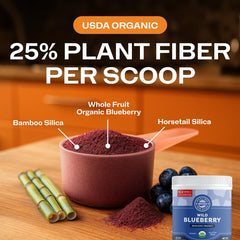 Vimergy Brain Body Protect bamboo silica detail signals detox support