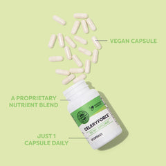 Vimergy Celeryforce label view showing ingredients and diet-friendly features.