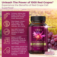 Close-up of VINIA capsules ready for daily use and steady energy