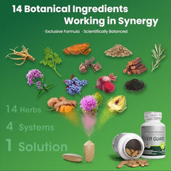 VITAJOURNEY milk thistle ingredient close-up highlighting liver wellness support.