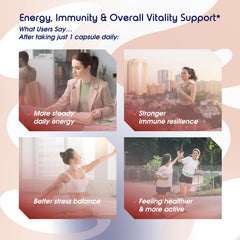Vital Herbal Quercetin 98% zinc and bromelain diagram showing absorption optimization.