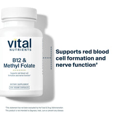 Vital Nutrients gluten-free and dairy-free label aiding allergen-conscious supplement selection