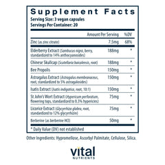 ViraCon ingredients spotlight elderberry and zinc in a vegan blend.