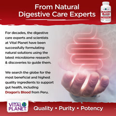Label close-up confirms vegan, non-GMO Dragon's Blood capsules