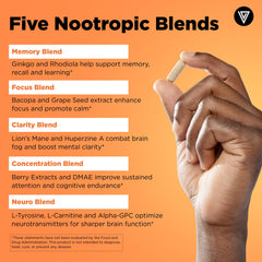 Vital Vitamins Ginkgo Biloba blend bottle suggesting steady mental energy