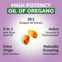 Vitalibre Black Seed Oil drop highlighting rich color and potential antioxidant synergy.