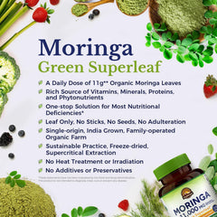 Vitalitown Moringa leaf-drying process close-up highlighting gentle freeze-drying preservation.