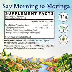 Closeup of Vitalitown Moringa leaves showing pure green color