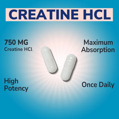 Dosis diaria de Vitalibre Creatina HCl en cápsulas para rendimiento.