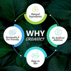 Vitamatic Shatavari powder scoop in hand ready for simple ritual use.