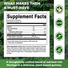 Vitamatic Sugar Free Moringa Gummies jar-front showing packaging