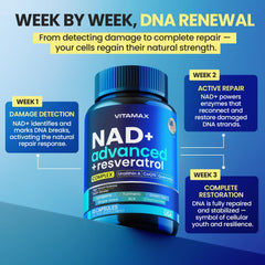 Vitamax Liposomal NAD+ capsules close-up, showcasing an advanced formula for focus and vitality.