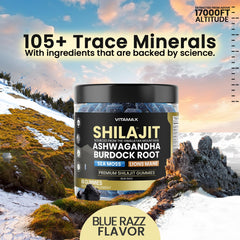 Vitamax Shilajit Gummies sea moss blend emphasizes minerals for daily wellness