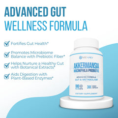 Vitamo Berberine GLP-1 capsules support metabolic balance and steady energy.