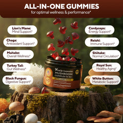 VitaUp Mushroom Gummies ingredient panel highlights the 10-mushroom blend