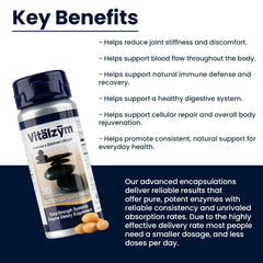 VITÄLZYM Serrapeptase ingredients label emphasizing natural enzyme blend