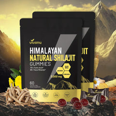 VivoNu Pure Himalayan Shilajit Gummies bottle showing a micronutrient blend for daily vitality