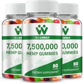 WACHRAY hemp gummies bottle close-up for daily wellness.