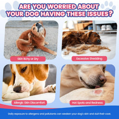 Wagmee Omega 3 chews in a bowl highlighting tasty daily treat for coat care