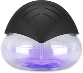 Water-Based Purifier bowl-water traps dust for cleaner indoor air.