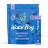 Waterboy Weekend Recovery grape stick for convenient on-the-go hydration