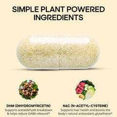 WELESSENTIALS DHM NAC tablet packs arranged for a modern daily routine