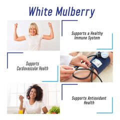 We Like Vitamins White Mulberry leaf extract ingredients highlight quality sourcing