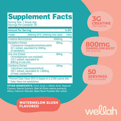 Wellah Creatine 50-serving scoop showing long-lasting supply