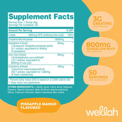 Wellah Creatine for Women scoop to measure a precise daily serving in Pineapple Mango