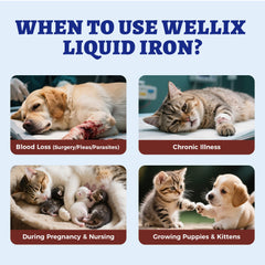 Wellix Liquid Iron for kitten and puppy use scenarios for growing pets