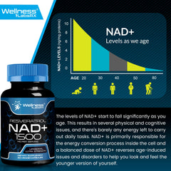 Wellness LabsRx emphasis on energy support and daily use
