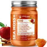 Wellness LabsRx Irish Sea Moss Gel Apple Cinnamon jar for daily nutrient boost.